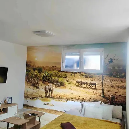 Safari 2 Apartment
